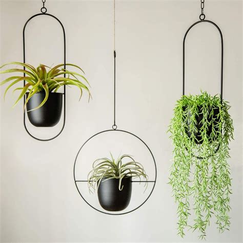 black iron plant hangers